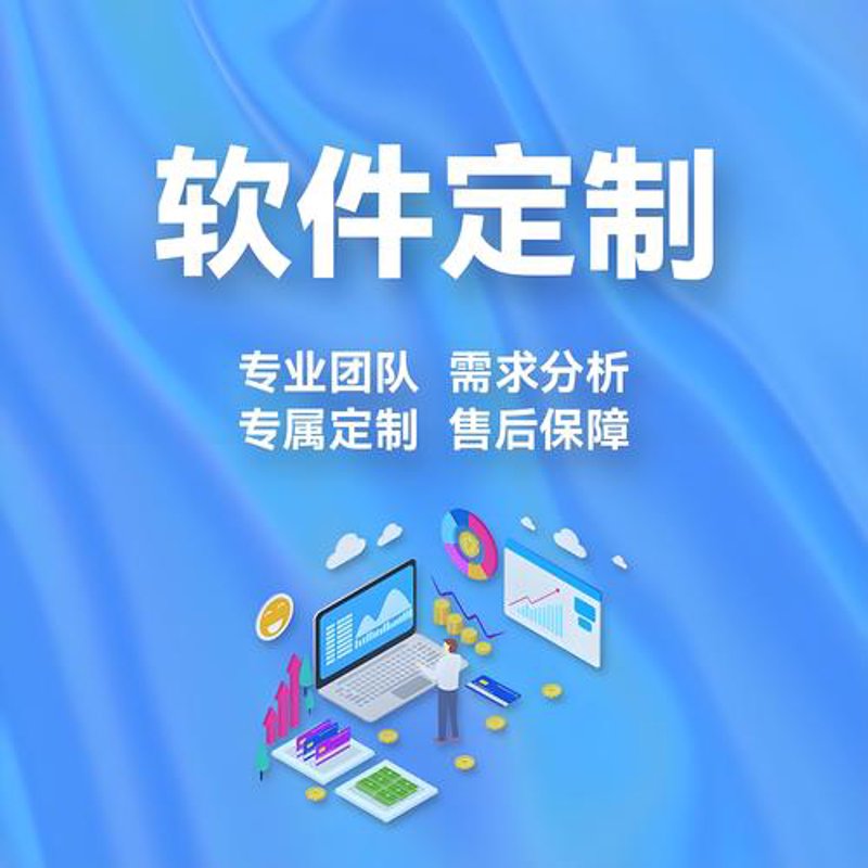 定制化软件开发
